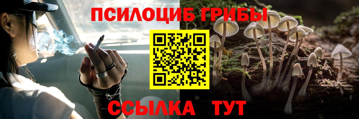 Галлюциногенные грибы GOLDEN TEACHER Зеленогорск