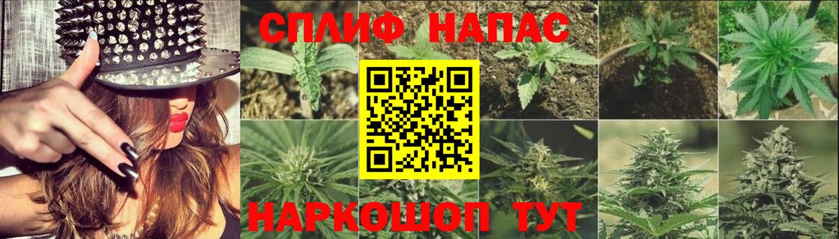 Шишки марихуана тримм Зеленогорск